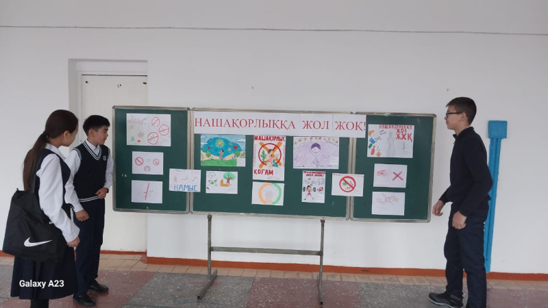 Наркобекет,сурет көрмесі